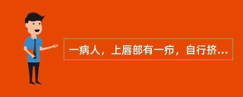 一病人，上唇部有一疖，自行挤压后出现发热，头痛，呕吐，意识障碍。本病人首先考虑的