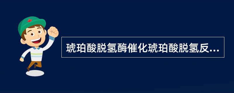 琥珀酸脱氢酶催化琥珀酸脱氢反应时Km=1/4[S]，反应速度应是Vmax的：（）