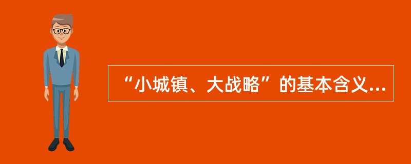 “小城镇、大战略”的基本含义什么？