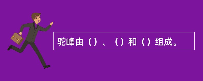 驼峰由（）、（）和（）组成。