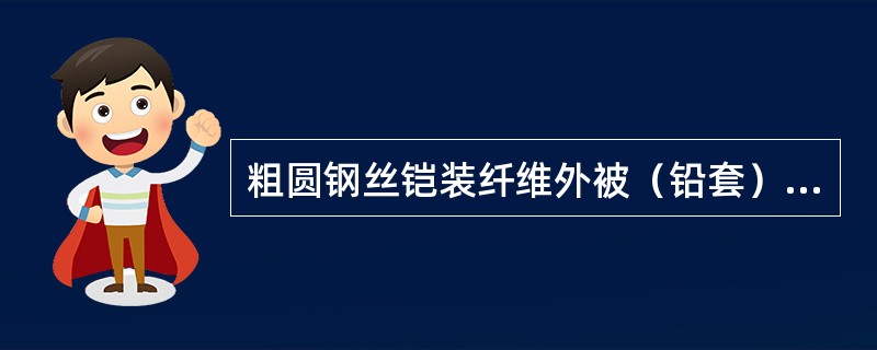 粗圆钢丝铠装纤维外被（铅套）型电缆一般敷设方式是（）。