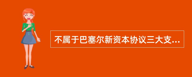 不属于巴塞尔新资本协议三大支柱的是：（）