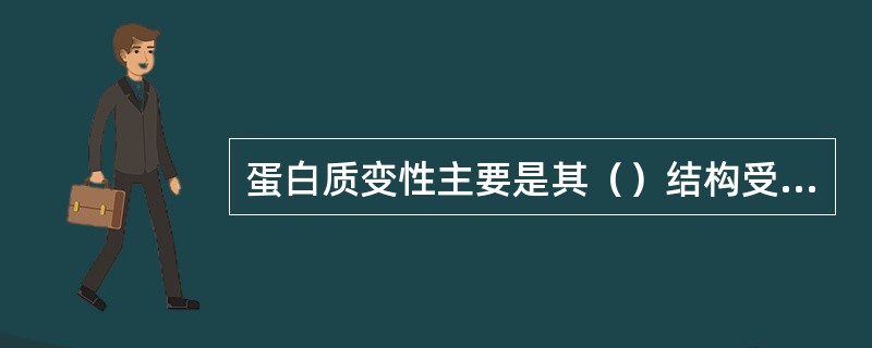 蛋白质变性主要是其（）结构受到破坏，而其（）结构仍可完好无损。