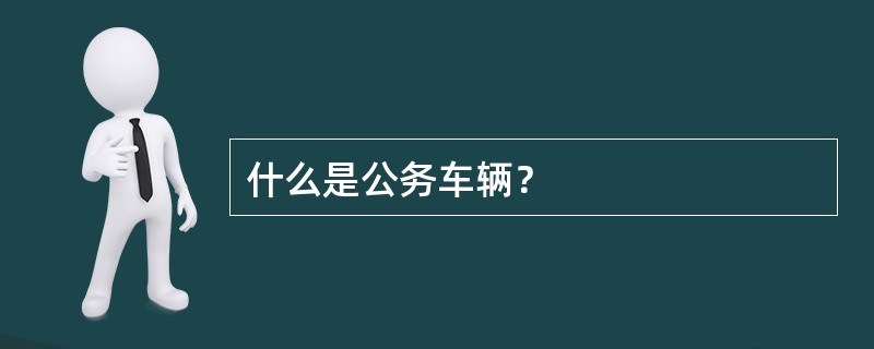 什么是公务车辆？