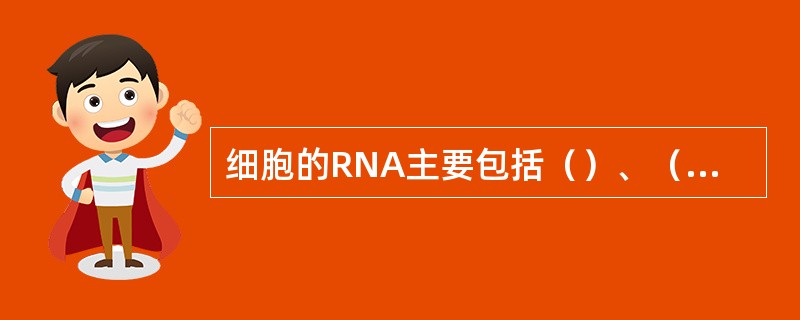 细胞的RNA主要包括（）、（）和（）3类，其中含量最多的是（），分子量最小的是（