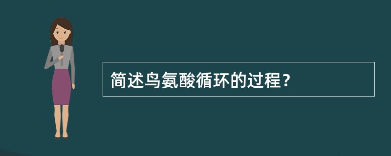 简述鸟氨酸循环的过程？