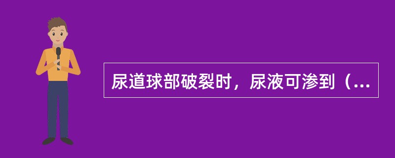 尿道球部破裂时，尿液可渗到（）。