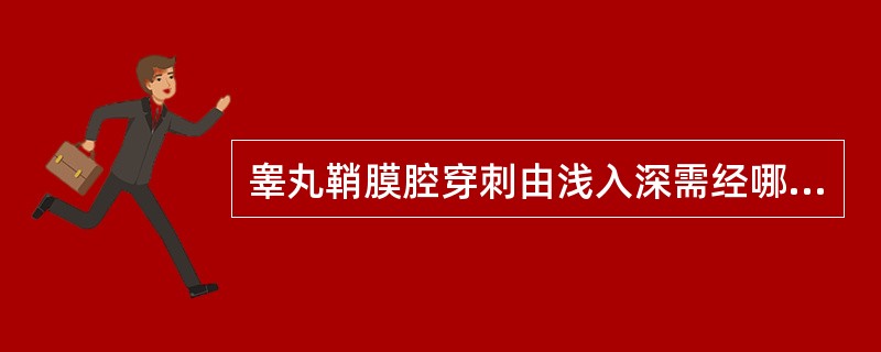 睾丸鞘膜腔穿刺由浅入深需经哪些层次？