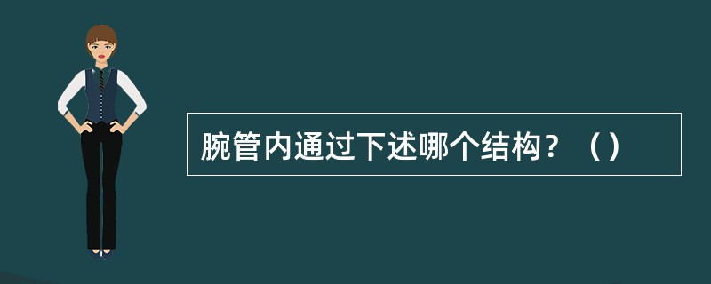 腕管内通过下述哪个结构？（）