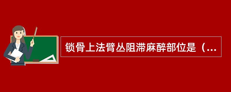 锁骨上法臂丛阻滞麻醉部位是（）。