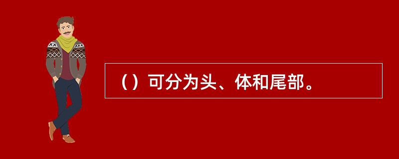 （）可分为头、体和尾部。