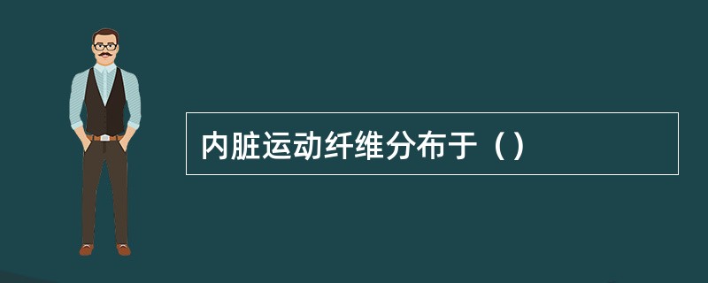 内脏运动纤维分布于（）