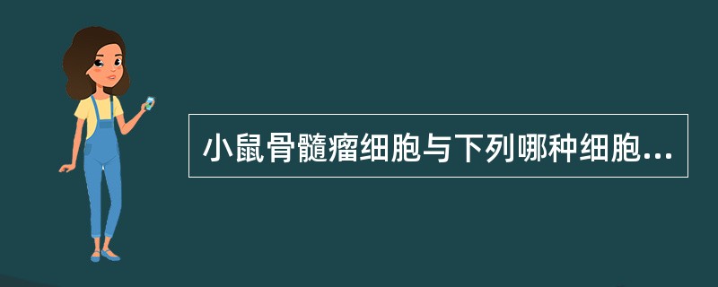 小鼠骨髓瘤细胞与下列哪种细胞融合，得到杂交瘤细胞，经培养可产生单克隆抗体（）