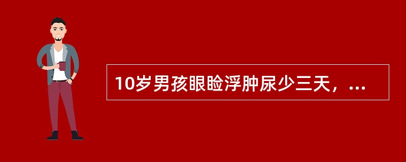 10岁男孩眼睑浮肿尿少三天，伴有血尿.血压16.8/13.3kpa（130/10