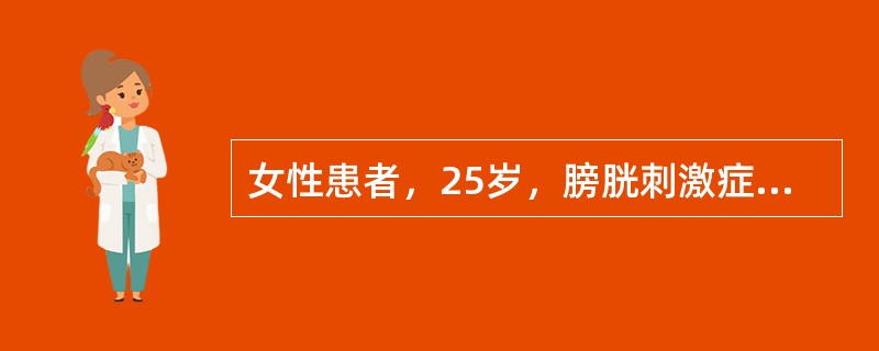 女性患者，25岁，膀胱刺激症状2年半，尿常规检查显示，尿中有大量红细胞、白细胞，