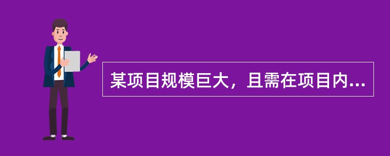 某项目规模巨大，且需在项目内部设置专业职能部门，此时在项目内部的管理组织方式是（
