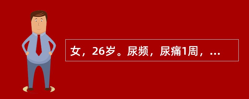 女，26岁。尿频，尿痛1周，尿常规：白细胞（+），红细胞（+），抗感染治疗后稍好