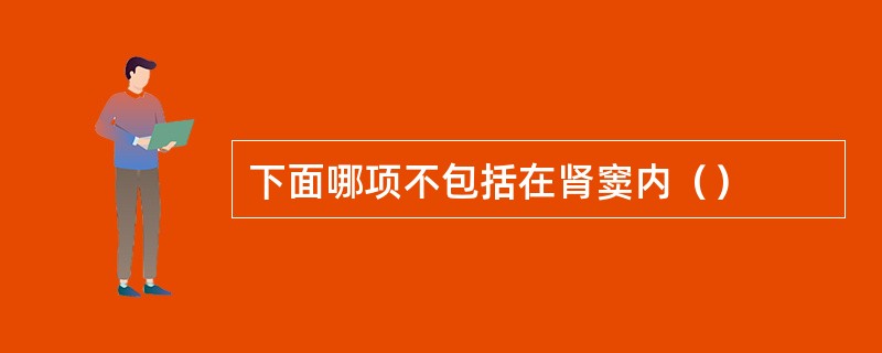 下面哪项不包括在肾窦内（）