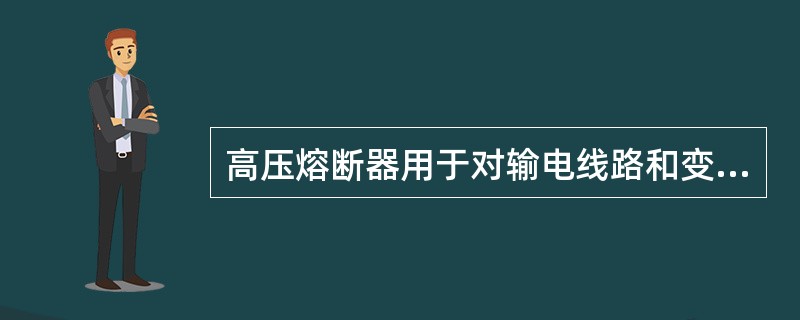 高压熔断器用于对输电线路和变压器进行（）。