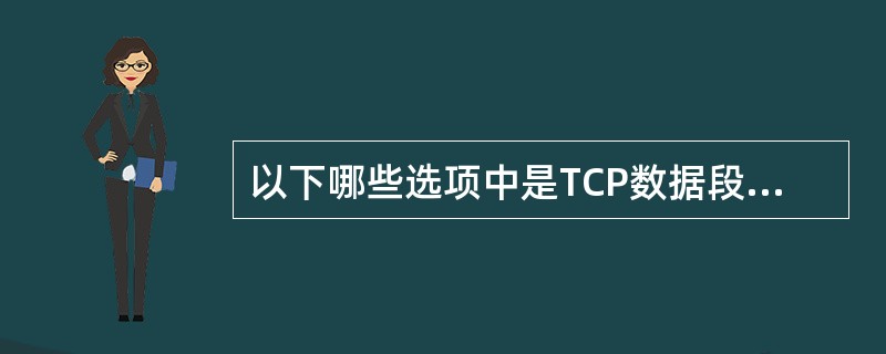 以下哪些选项中是TCP数据段所具有而UDP所没有的？（）