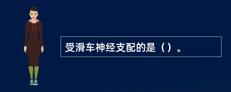 受滑车神经支配的是（）。