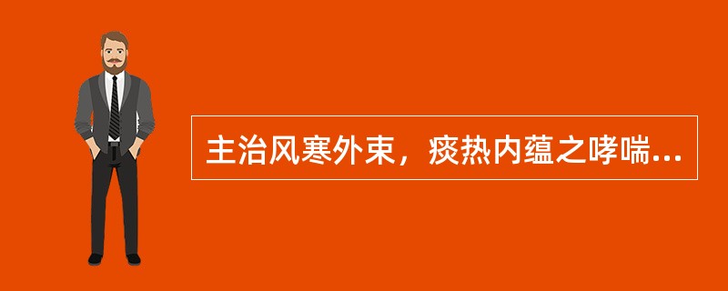 主治风寒外束，痰热内蕴之哮喘的方剂是（）