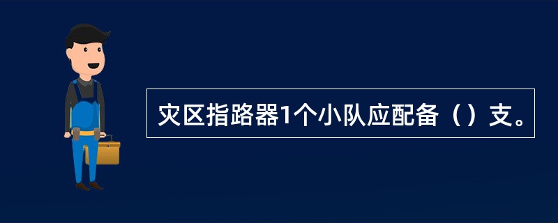 灾区指路器1个小队应配备（）支。