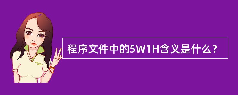 程序文件中的5W1H含义是什么？