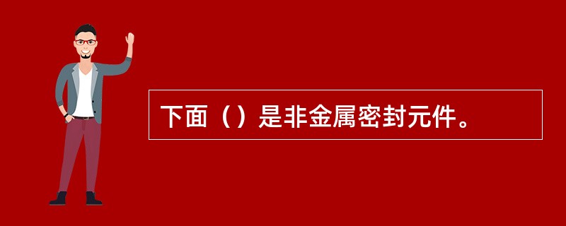 下面（）是非金属密封元件。