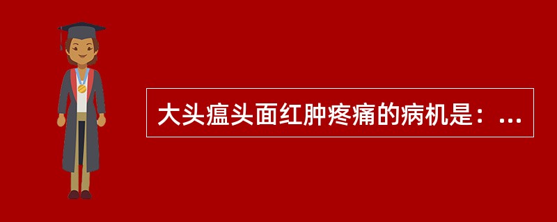 大头瘟头面红肿疼痛的病机是：（）.