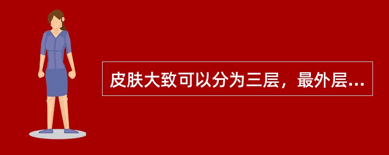 皮肤大致可以分为三层，最外层为表皮，中间一层是真皮，最里层为（）。