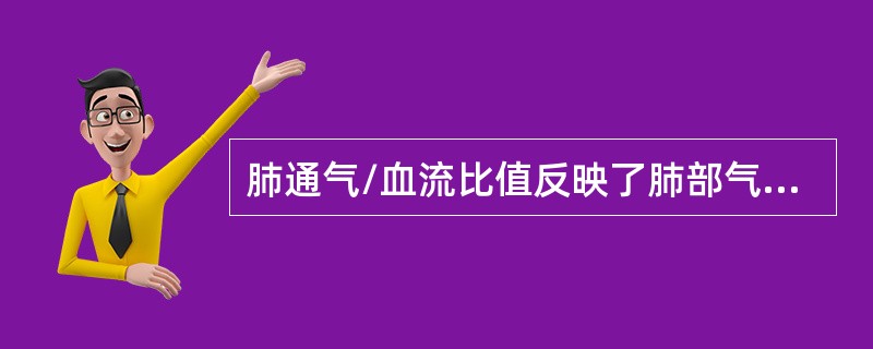 肺通气/血流比值反映了肺部气体交换时的匹配情况。通气/血流比值增大表明（）