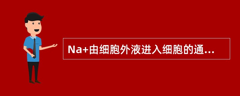 Na+由细胞外液进入细胞的通道是（）