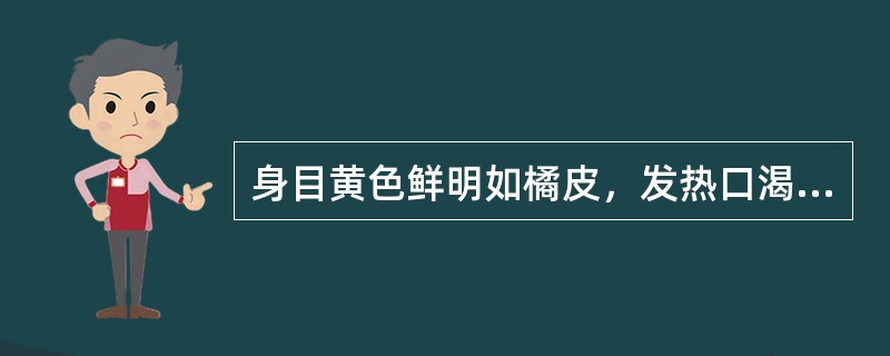 身目黄色鲜明如橘皮，发热口渴，脘腹满闷，恶心欲吐，小便短少，色黄赤，大便秘结，舌