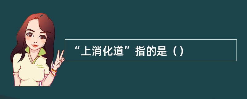 “上消化道”指的是（）