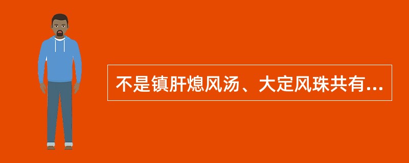 不是镇肝熄风汤、大定风珠共有的药物是（）。