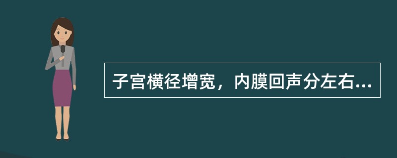 子宫横径增宽，内膜回声分左右两部分，在宫腔中下部双侧内膜回声汇合，且两侧内膜之间