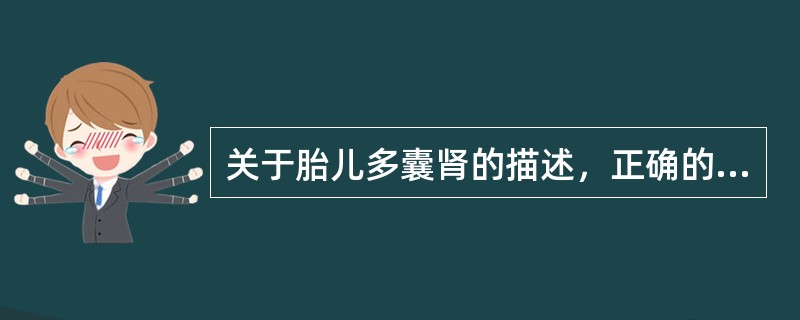 关于胎儿多囊肾的描述，正确的是（）。