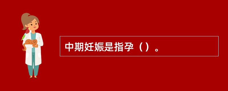 中期妊娠是指孕（）。