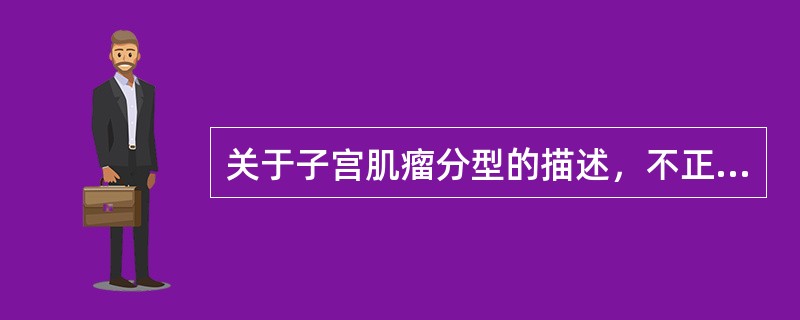 关于子宫肌瘤分型的描述，不正确的是（）。