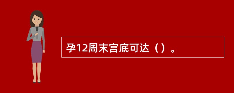 孕12周末宫底可达（）。