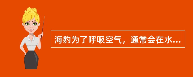 海豹为了呼吸空气，通常会在水面漂浮或者出现大约（）。