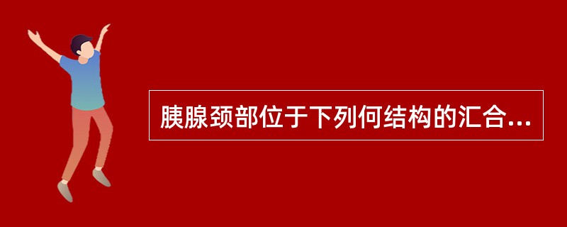 胰腺颈部位于下列何结构的汇合处（）。