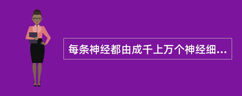 每条神经都由成千上万个神经细胞组成，你知道这些神经细胞的名称吗？（）