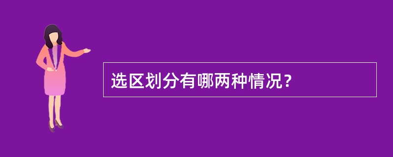 选区划分有哪两种情况？