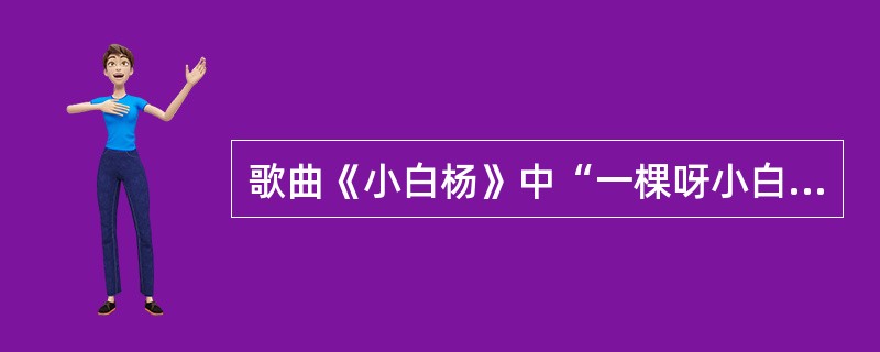 歌曲《小白杨》中“一棵呀小白杨”的下一句是什么？