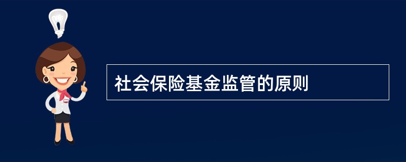 社会保险基金监管的原则