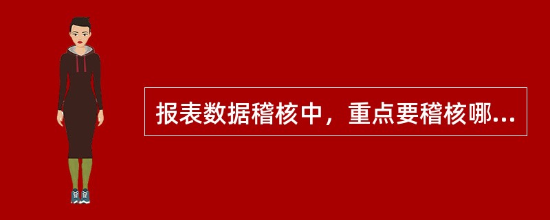 报表数据稽核中，重点要稽核哪些数据差异？