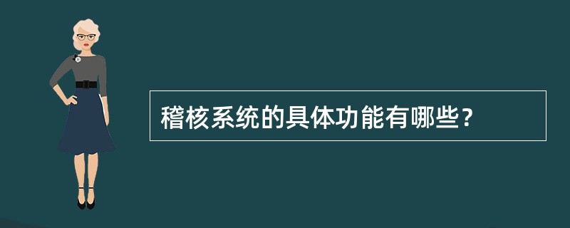 稽核系统的具体功能有哪些？