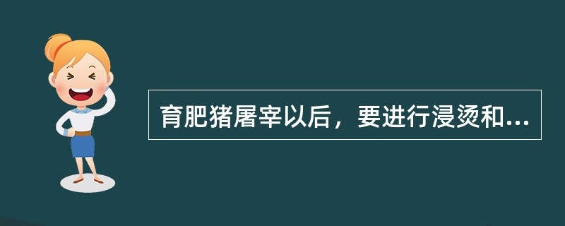 育肥猪屠宰以后，要进行浸烫和煺毛，猪体在浸烫池中的水温是（），浸烫的时间是（）。